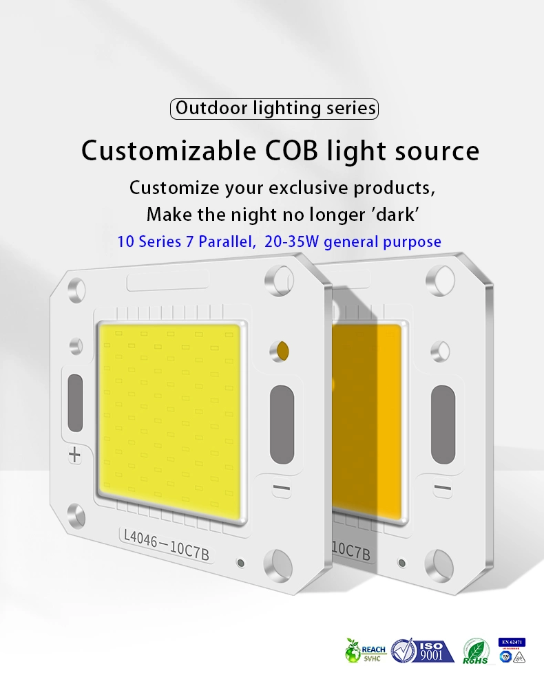 Has Stable Quality LED COB 20W 30W 40W 50W 4046 COB for Integrated Floodlights